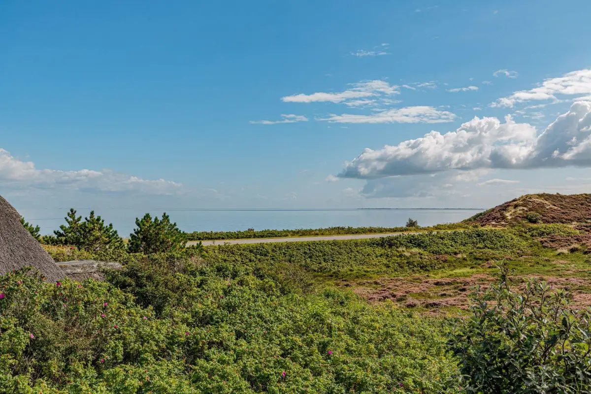 Ferienwohnung Sylt List Haus Austernblick Meerblick
