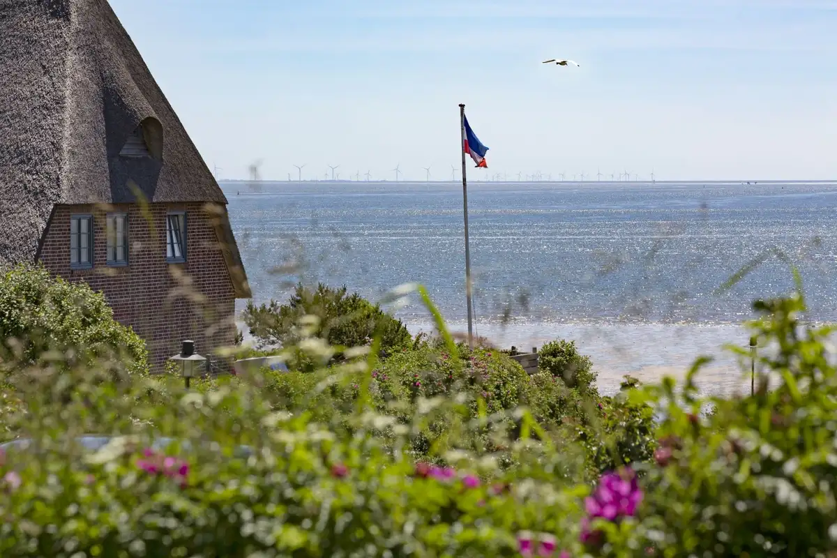 Ferienwohnung Sylt List Haus Mero Huis Meerblick