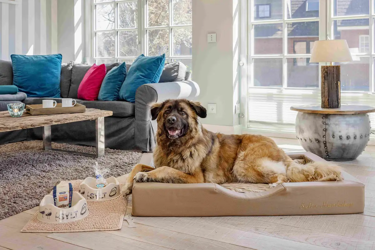 Hundliegt